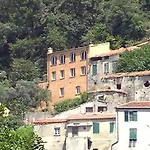 B&B Nelly G